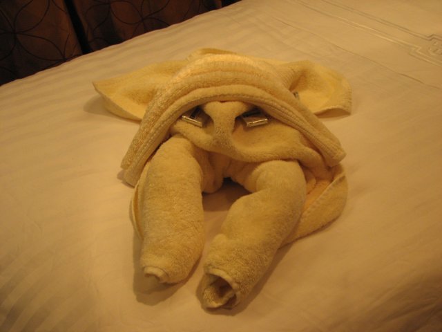 towelcrab.jpg