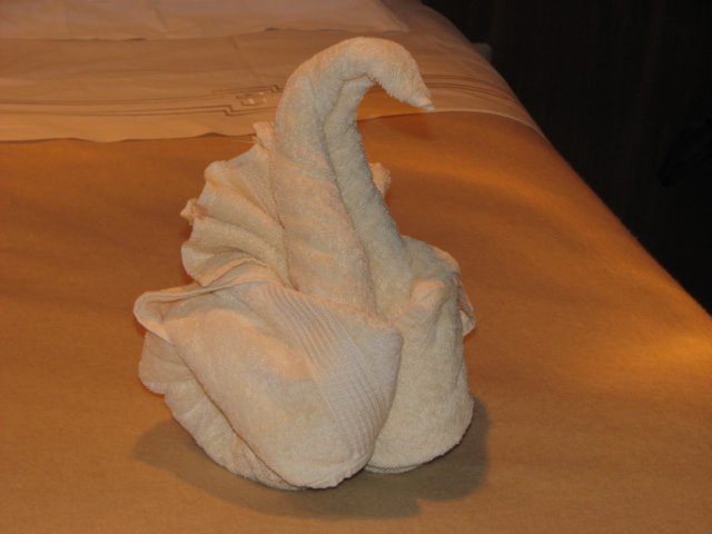 towelswan.jpg