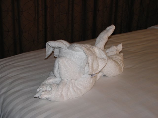 towelpuppy.jpg